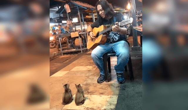  Cantantes callejeros en Perú. Foto: Difusión   