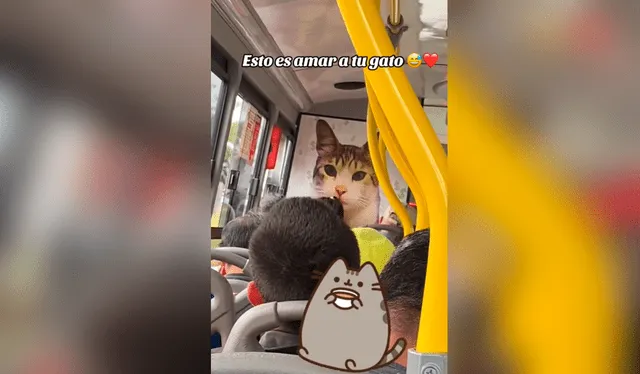  Las imágenes conmovieron los corazones de miles en redes sociales. Foto: composición LR/TikTok/@dtodoproduce   