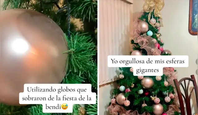  Las imágenes sacaron más de una sonrisa en redes sociales. Foto: composición LR/captura de TikTok/@fanikiss   
