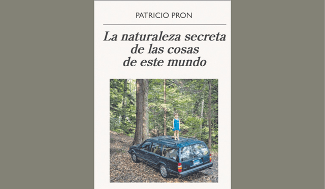 La naturaleza secreta de las cosas de este mundo de Patricio Pron. Foto: difusión   