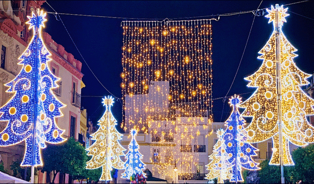  Luces en árboles de Navidad. Foto: AM   