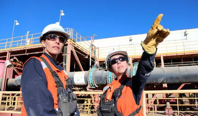  La carrera técnica de Ingeniería de Minas es una de las mejor pagada en Perú.   