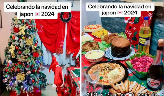  Las imágenes sacaron más de una sonrisa en redes sociales. Foto: composición LR/TikTok/@girl2484   