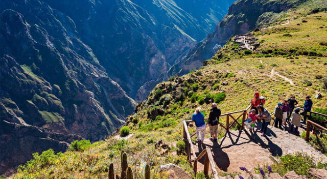 El cañón del Colca es el segundo más profundo del mundo. Foto: GLR   