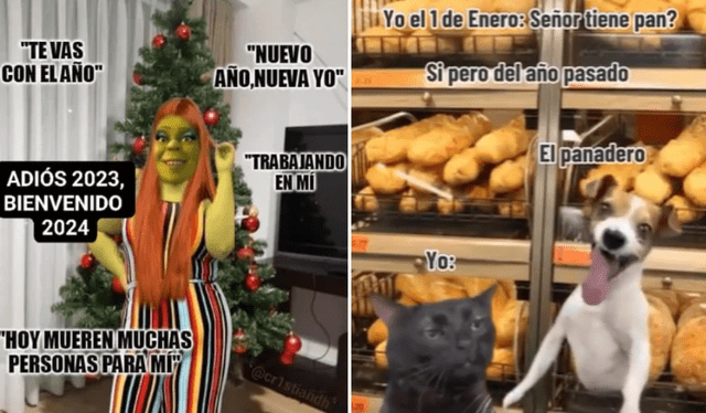  Memes que se difunden en las redes sociales sobre Año Nuevo. Foto: captura de X   