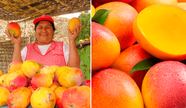  El precio del mango puede variar por temporadas. Foto: composición LR   
