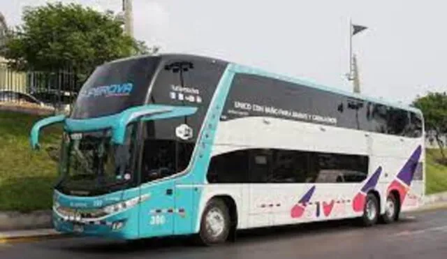  Bus de viaje Civa. Foto: Facebook   