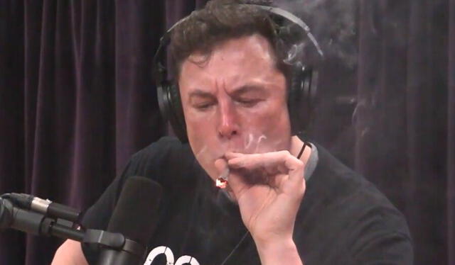 Musk asegura solo consumió marihuana, la cual dejó hace año. Foto: captura The Joe Rogan Experience/YouTube   