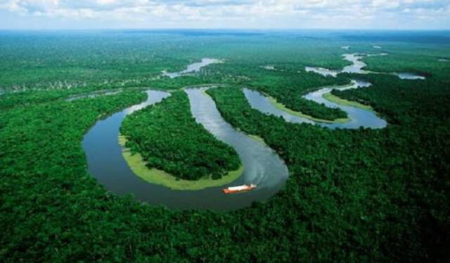  Río Amazonas. Foto: Andina    