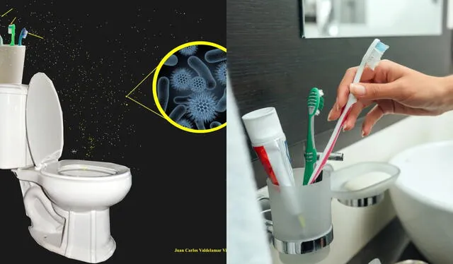  Los cepillos de dientes se contaminan con los microorganismos presentes en los servicios higiénicos. Foto: composición LR/Computer Hoy/Las2orillas.co   