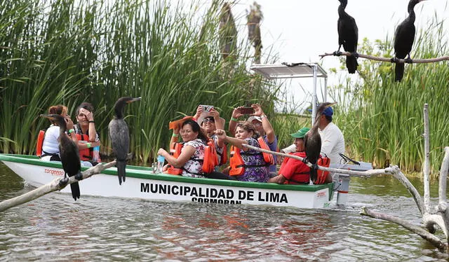  En los Pantanos de Villa, podrás hacer un recorrido inolvidable acompañado de amigos o familia. Foto: página web de Pantanos de Villa    