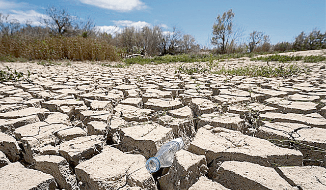  Sequías. La pérdida de una masa de hielo de Groenlandia podría provocar sequías en el norte de África. Foto: difusión    