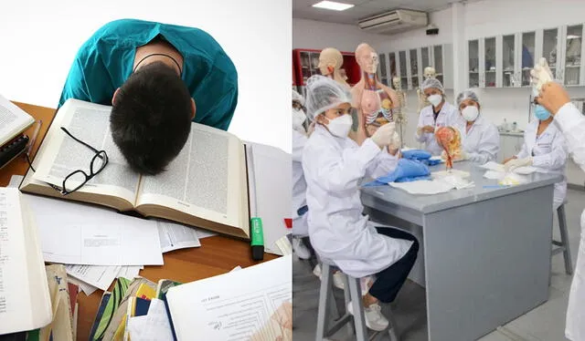 La carrera universitaria de Medicina puede ser agotadora para algunos estudiantes. Foto: composición LR/Freepik   