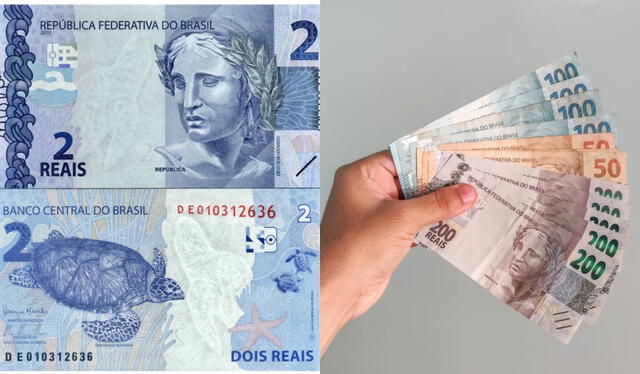  Billetes de Brasil en anverso y reverso. Foto: composición LR/Freepik/difusión   