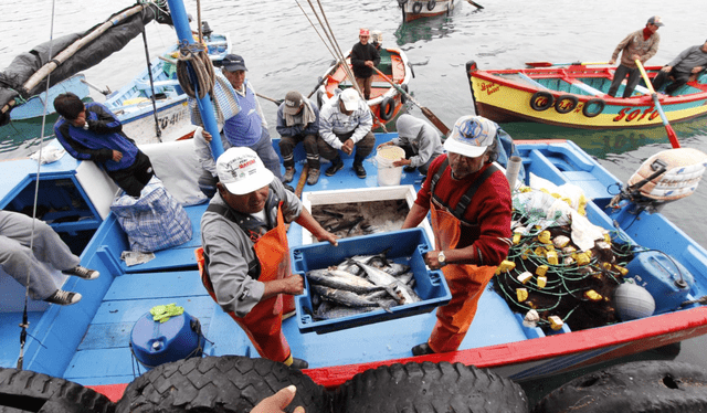 La actividad pesquera tendría un impacto positivo en el crecimiento económico de ciertas regiones del norte del Perú. Foto: La República   
