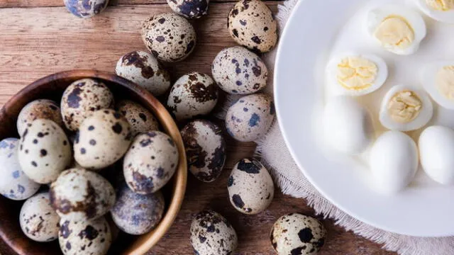  El huevo de codorniz es muy beneficioso para la salud. Foto: Difusión    