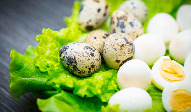  Huevos de codorniz tiene más vitaminas. Foto: El Tiempo   