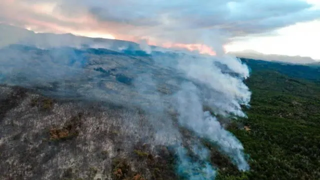 Incendio forestal | Bahía Rosales | Parque Nacional Los Alerces