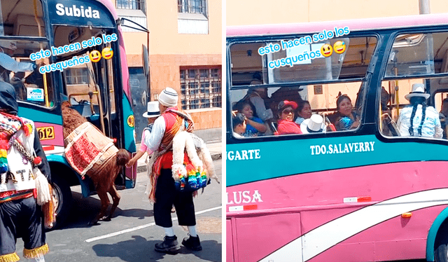  El bus que cubre la ruta Salaverry-Alfonso Ugarte se encargó de trasladar a la llama hacia su destino. Foto: composición LR/TikTok/@elizahuamanrojas   