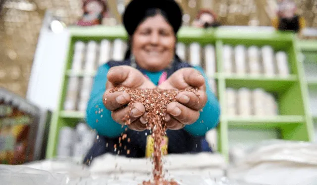 La quinua es considerado el alimento sagrado de los incas. Foto: Andina   