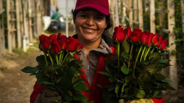 qué se celebra el 14 de febrero en Colombia | cuándo es San Valentín | qué significa | día de San Valentín