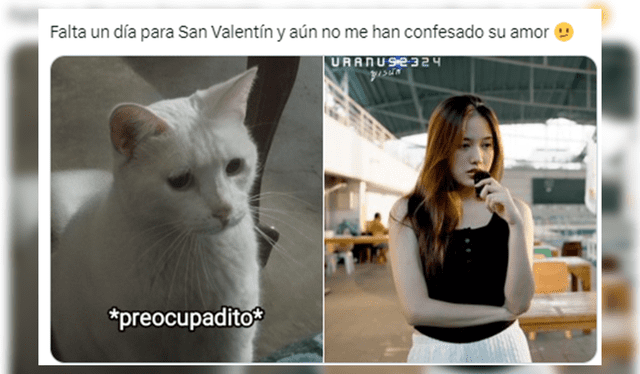 Memes San Valentín 2024. Foto: X   