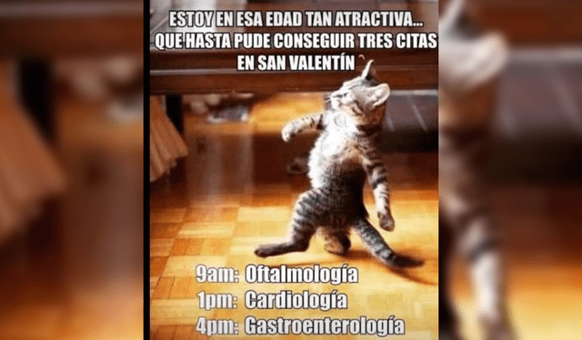 Algunos memes clásicos de San Valentín no pasan de moda. Foto: Facebook   