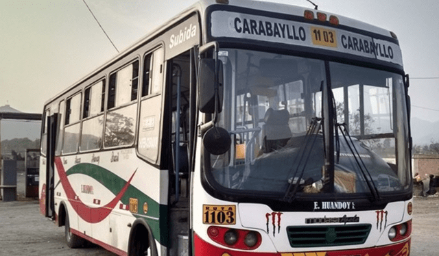  Buses de transporte público que pasan en la Av. Universitaria. Foto: Twitter    