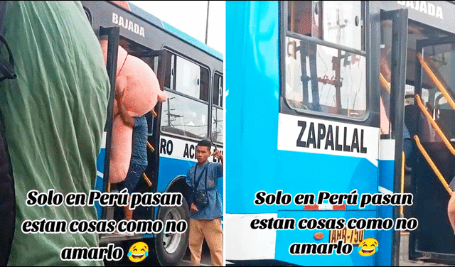  El joven colocó el muñeco de peluche sobre sus hombres para subir al bus. Foto: composición LR/TikTok/@jhonmirko20   