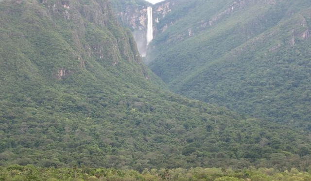  El Salto Yutajé, el estado Amazonas, es la tercera cascada más alta de Venezuela y el mundo. Foto: Facebook/Venezuela Te Amo   