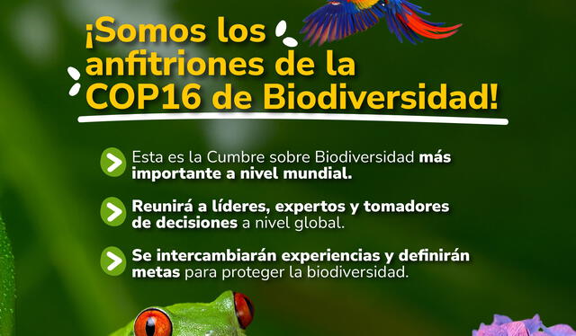 La COP16 es considerado como el evento más importante que se realizará en Colombia. Foto: @infopresidencia/Twitter   