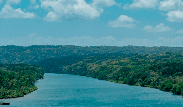 El río Chagres se caracteriza por albergar cocodrilos y caimanes. Foto: Lacabanga   