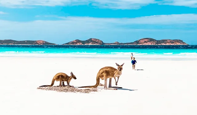  Playas de Australia, uno de sus mejores atractivos. Foto: Youtooproject   