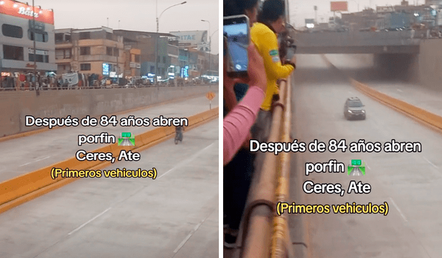  El video generó miles de sonrisas en redes sociales ante la apertura del tramo de la Carretera Central. Foto: composición LR/TikTok/@solangeleucasto08   