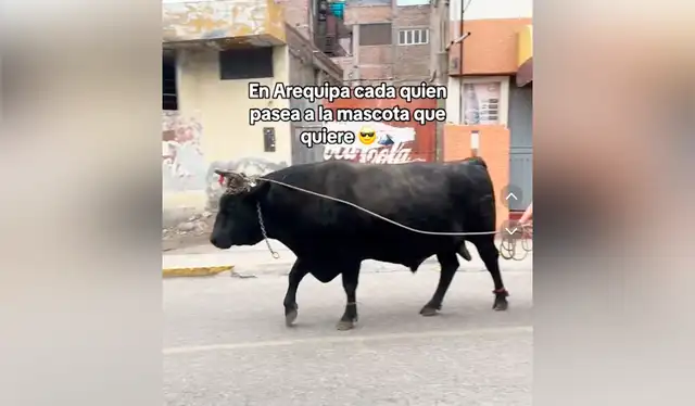 El video dejó a miles de usuarios sorprendidos en redes sociales. Foto: composición LR/@adrielanderson/ TikTok El video dejó a miles de usuarios sorprendidos en redes sociales. Foto: composición LR/@adrielanderson/ TikTok