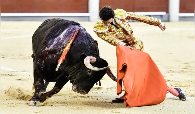 El matiz rojo no ejerce un efecto específico en la conducta de los toros en las corridas. Foto: El Mundo El matiz rojo no ejerce un efecto específico en la conducta de los toros en las corridas. Foto: El Mundo