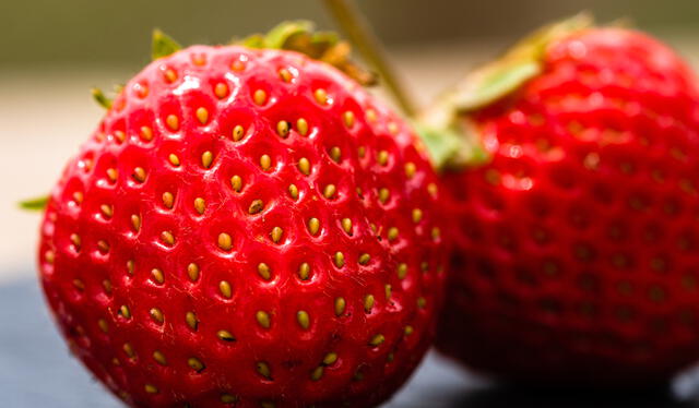 La fresa es un género de plantas rastreras. Foto: difusión    