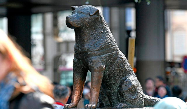  La estatua en honor a Hachiko se encuentra en el exterior de la estación de tren de Shibuya. Foto: Nippon.com    