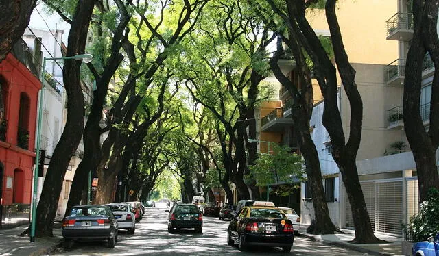 Calles de Guatemala en el barrio de Palermo, Argentina. Foto: Wikimedia   