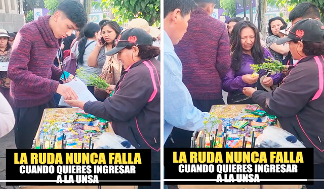 La vendedora de Arequipa logró captar la atención de los postulantes de la UNSA con su ingenioso negocio de venta de ruda. Foto: composición LR/TikTok/@frasecorta   