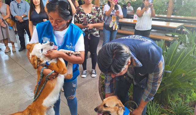 Personal de la municipalidad de Surco cumple un rol importante en el cuidado de las mascotas. Foto: La República   