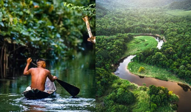 El Amazonas es una joya natural considerada 'el pulmón del planeta'. Foto: composición LR/Worldpackers/France 24   