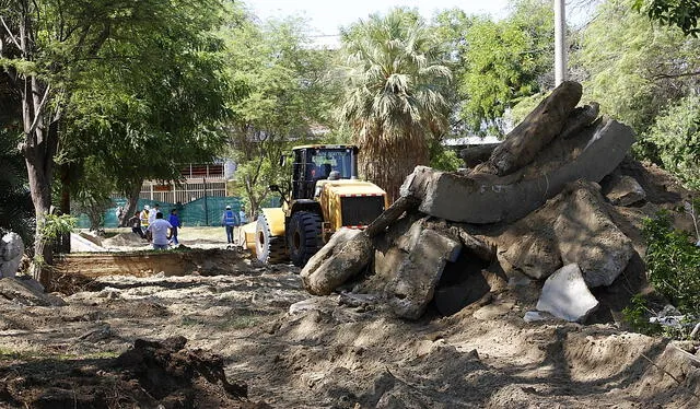  Denuncian atentado ecológico en parque de Piura    