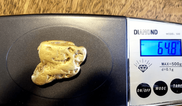 Con más de 64 gramos, se cree que la pepita de oro es la más grande encontrada en Inglaterra. Foto: Richard Brock / SWNS
