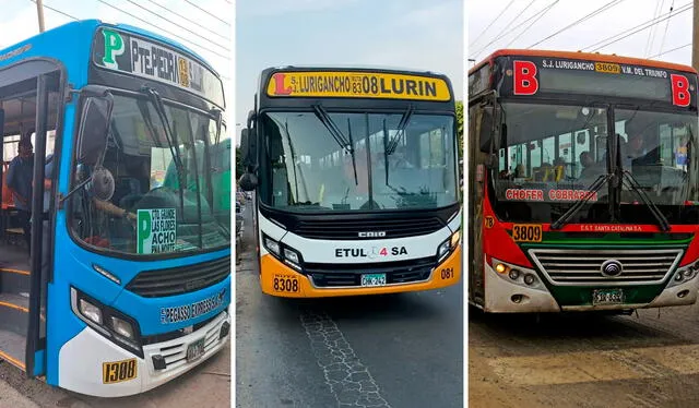 Nuevos buses de SJL. Foto: composición LR   