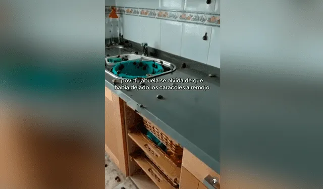  Las imágenes generaron una ola de comentarios en redes sociales. Foto: composición LR/TikTok/@abdreaxgxrcia   