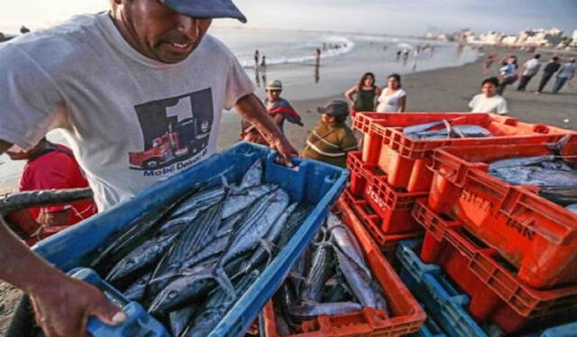  Pescadores son los principales afectados. Foto: Andina    