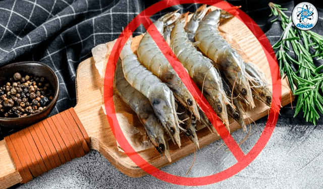  Meses que no se debe comer mariscos. Foto: Enséñame de Ciencia 