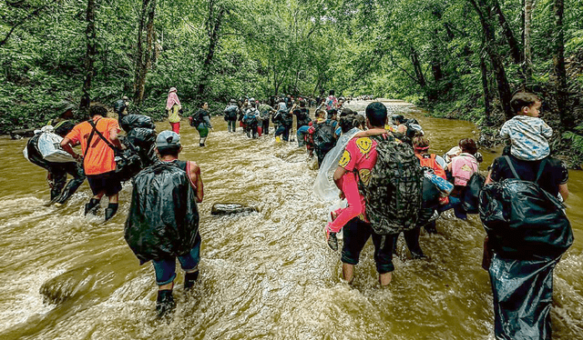  Experiencia. Incursión en el Paso del Darién, con los miles de migrantes ilegales rumbo a EEUU. Foto: difusión    