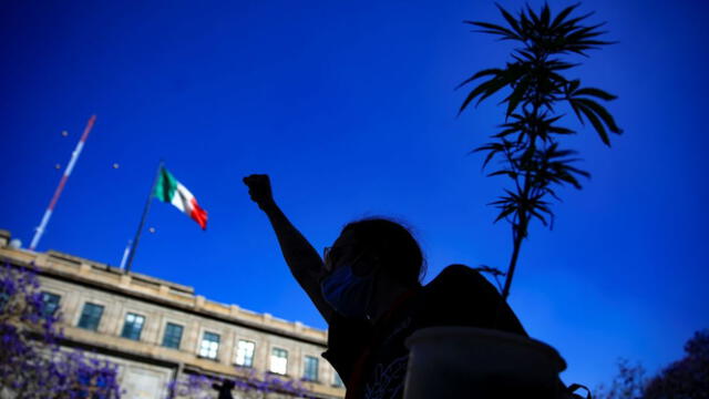Legalización de la marihuana en México. Foto: El País   